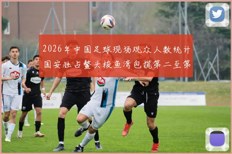 2026年中国足球现场观众人数统计国安独占鳌头梭鱼湾包揽第二至第七位